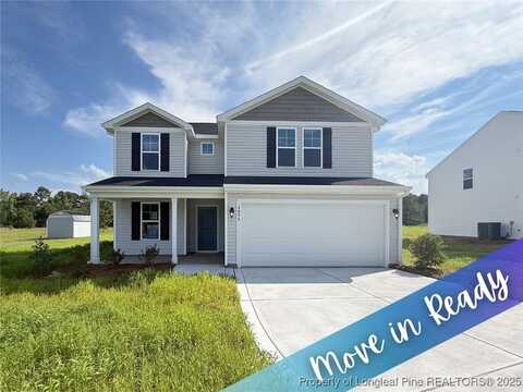 4894 Blue Springs (Lot 13) Road, Red Springs, NC 28377