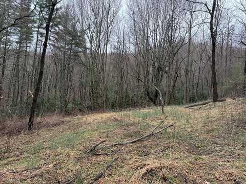 Robinson Creek Rd, Glenville, NC 28736
