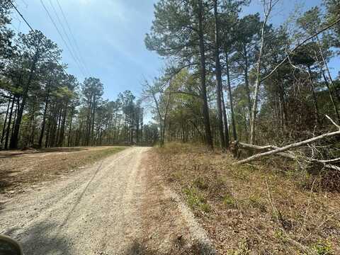 0 WAYNE Lane, Hephzibah, GA 30815