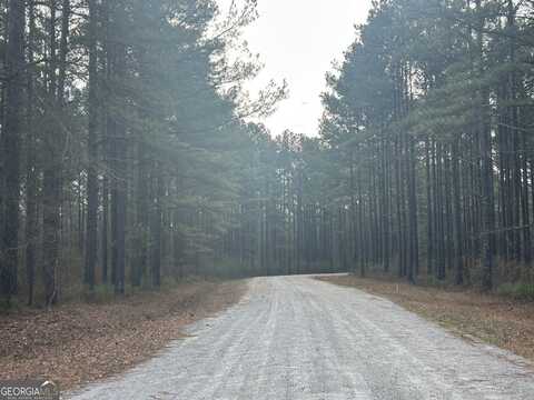 223 RiverSong, Carrollton, GA 30117