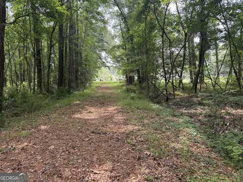 27 Acres W S Highway 17, Townsend, GA 31331