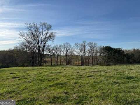 Lot 4 Happy Hollow, Roopville, GA 30170