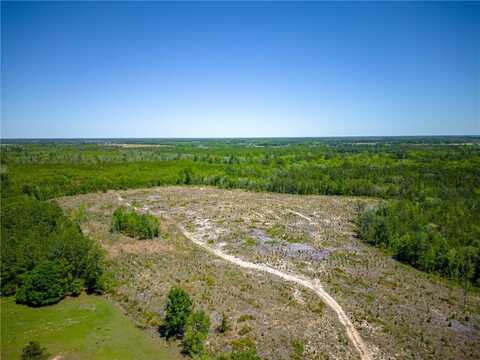 Tract 2 Scuffletown Road, Other, GA 31518
