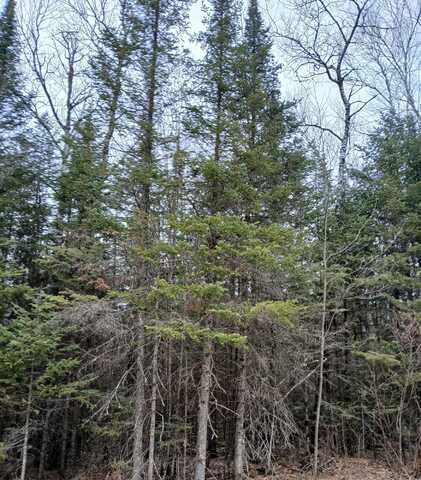 Mi-357-1 MANHARDT RD, Minocqua, WI 54548