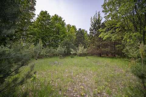 Covey Road, Beulah, MI 49617