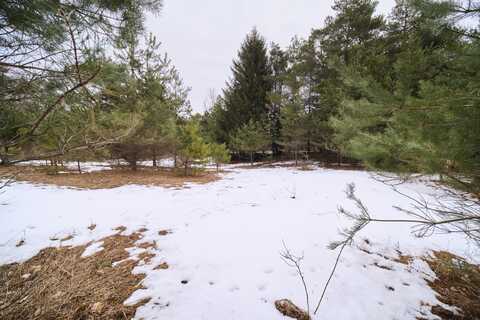 Covey Road, Beulah, MI 49617