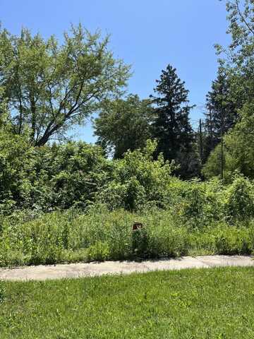 V/L West Street, Covert, MI 49043