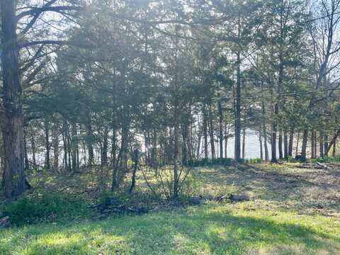 649 Jackson Hollow Road, Galena, MO 65656