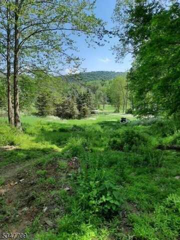 91 Jenny Jump Rd, Hope, NJ 07844