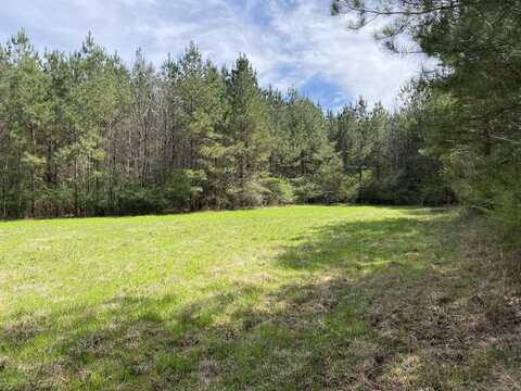 94 Acres Everett Rd., Hickory, MS 39332