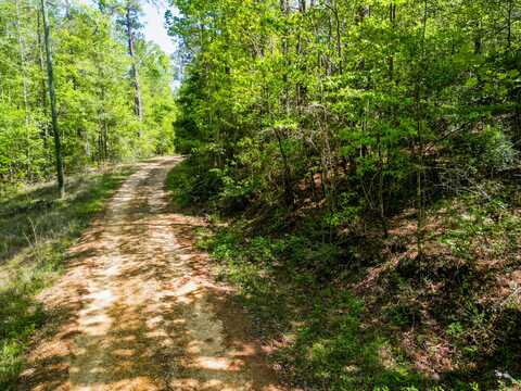 20.98 Acre Rockhill Rd., Purvis, MS 39475