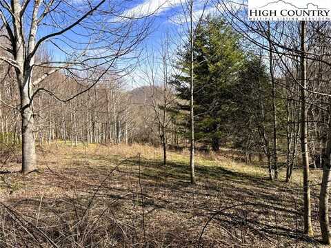Lot 3 Larkspur Trail, Banner Elk, NC 28604
