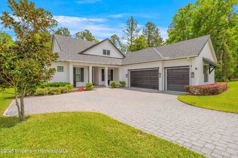 4581 MAJESTIC HILLS LOOP Loop, Brooksville, FL 34601