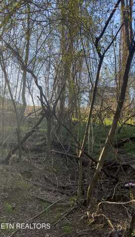 N Patton Ave, Rockwood, TN 37854