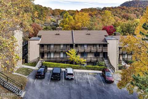 1081 Cove Rd, Sevierville, TN 37876