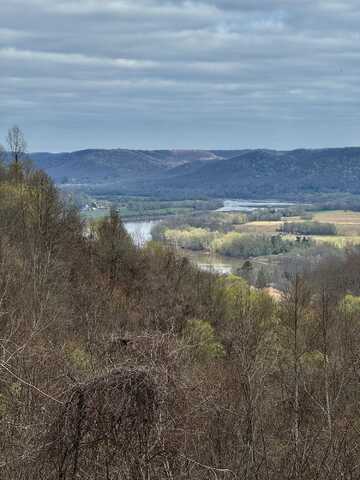 Town Branch Road, Vanceburg, KY 41179