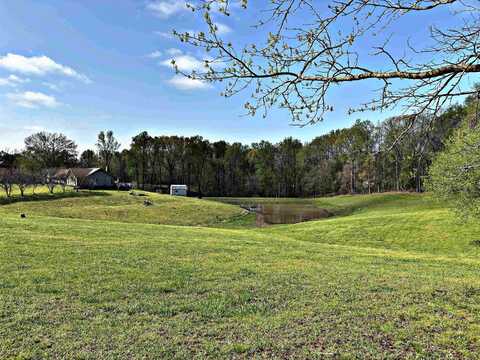 6007 ISLAND FORTY, Unincorporated, TN 38127