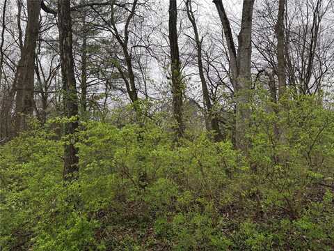 9 WOOD DUCK DRIVE, Ramsey, IL 62080