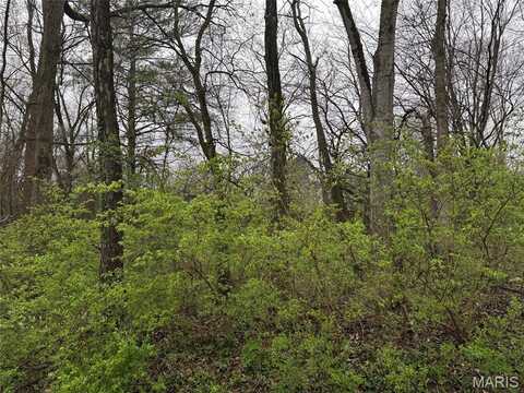 9 WOOD DUCK DRIVE, Ramsey, IL 62080