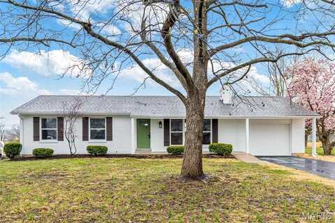 1121 E Cap Au Gris Street, Troy, MO 63379