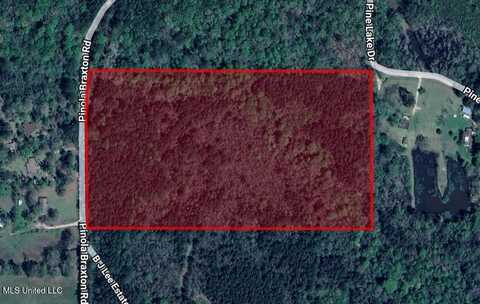 00 Pinola Braxton Road, Braxton, MS 39044