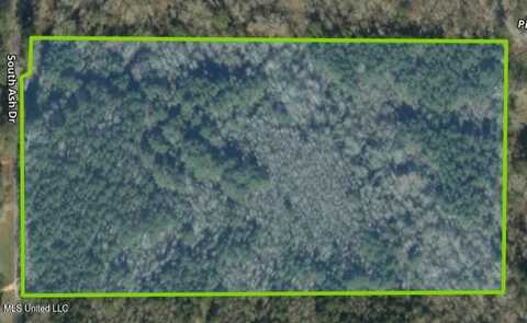 00 Pinola Braxton Road, Braxton, MS 39044