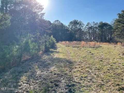 235 Woodrow Martin Road, Brandon, MS 39042