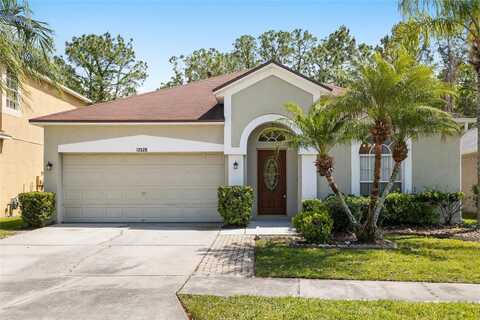 12526 BLAZING STAR DRIVE, TAMPA, FL 33626