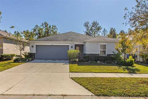 9231 FREEDOM HILL DRIVE, SEFFNER, FL 33584