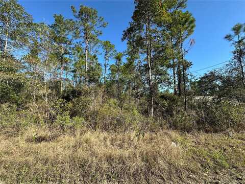 124 E ALACHUA STREET, PALATKA, FL 32177