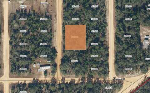 00 GLORIA AVENUE, INTERLACHEN, FL 32148