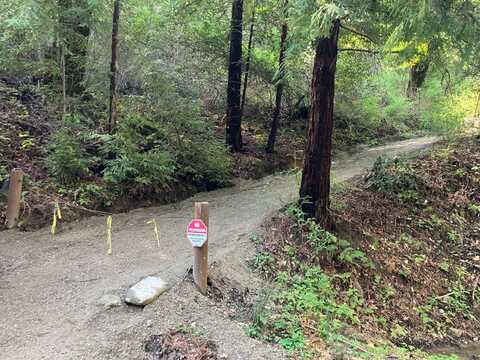 01 Old Santa Cruz Highway, LOS GATOS, CA 95033