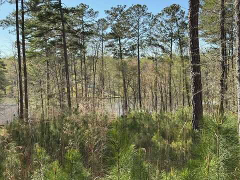 0 S Bream Ct, Eatonton, GA 31024