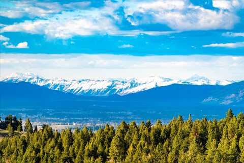 Nhn Overlook Trail, Kalispell, MT 59901
