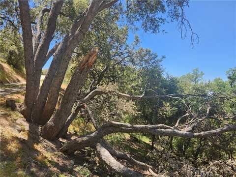 25148 PARAMOUNT DR, Tehachapi, CA 93561