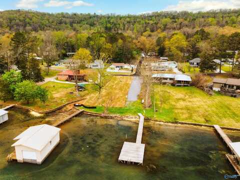 815 Honeycomb Road, Grant, AL 35747