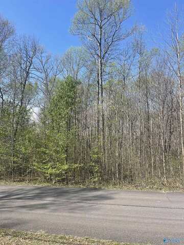 Lot 7 Creekside Lane, Arab, AL 35016