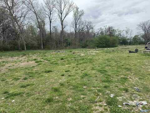 8905 Holt Springer Road, Athens, AL 35611