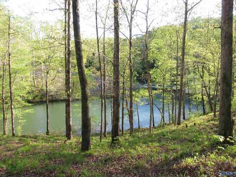 703 Legendary Parkway, Arley, AL 35541