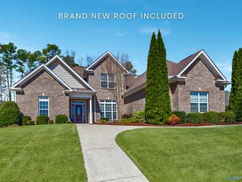 106 Jeff Meadow Trail, Harvest, AL 35749