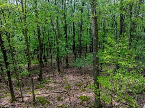 Lots 20, 21, 22 Greenbrier Lane, Terra Alta, WV 26764
