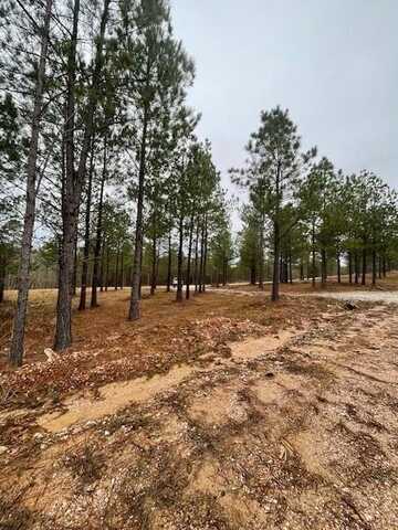 Top Notch Road, Broken Bow, OK 74728