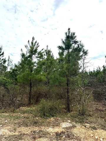 152 Southern Spruce Trail, Broken Bow, OK 74728