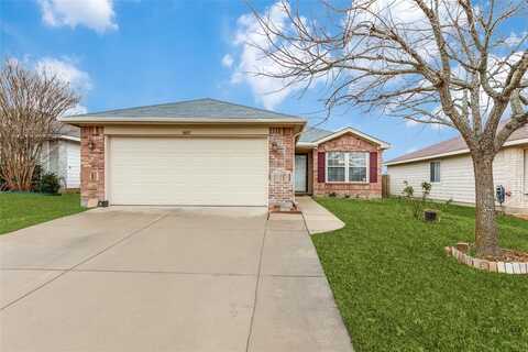1405 Ash Street, Anna, TX 75409