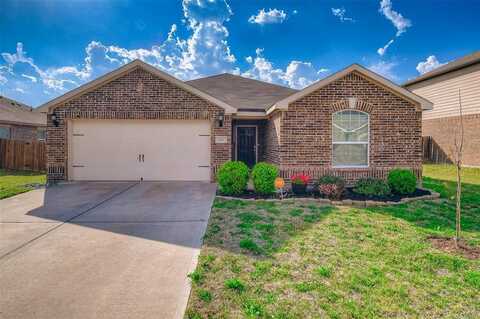 6145 Nathan Creek Drive, Fort Worth, TX 76179