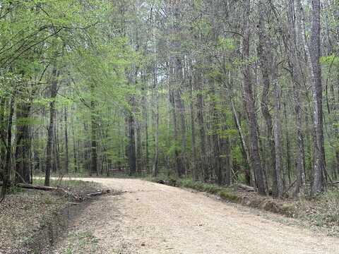 115 Shell Oil Circle, Brandon, MS 39042