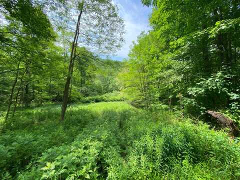 0 East Handsome Brook Rd., Franklin, NY 13775