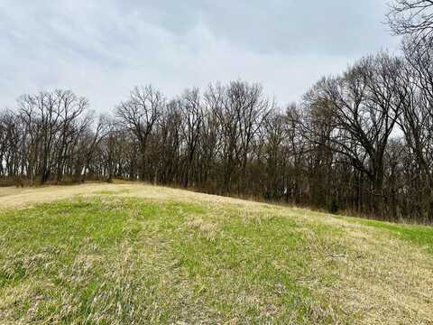 40 +/- Acres 305th St, Malvern, IA 51551
