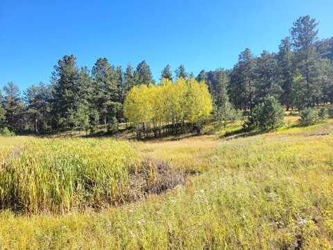 TBD County Road 12, Florissant, CO 80816