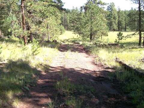 TBD County Road 12, Florissant, CO 80816